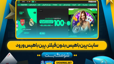 سایت-پین-باهیس-بدون-فیلتر،-پین-باهیس-ورود
