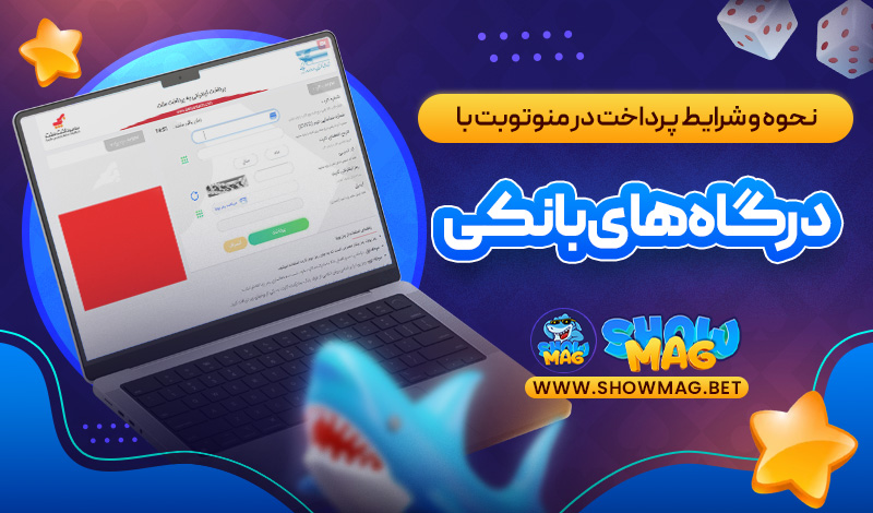 نحوه-و-شرایط-پرداخت-در-منوتوبت-با-درگاه‌های-بانکی
